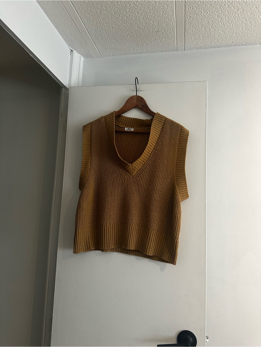 Arden B V-Neck Cropped Knit Vest in Camel